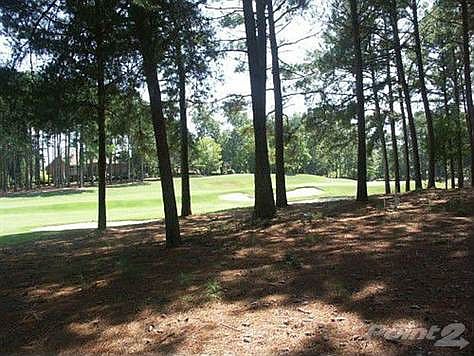 3 Yadkin falls backyard 2