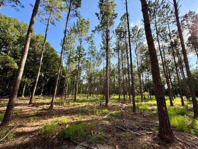 Fox Paw Ct, Branchville, SC, 29432