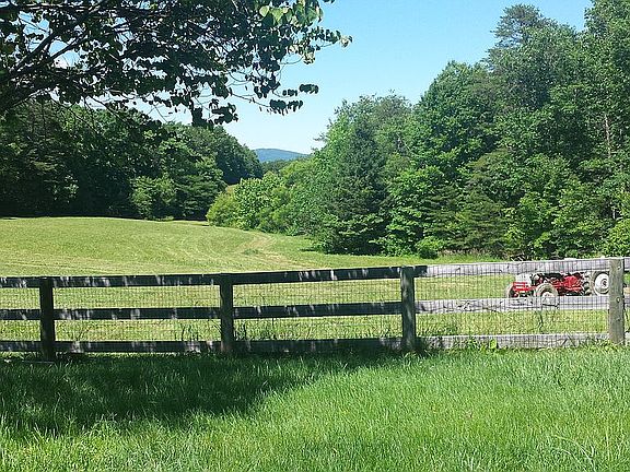 Front Pasture - Mid Summer