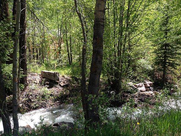 3rd image of Tbd W Galena