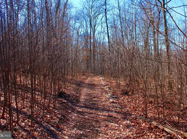 Chance Ln, Paw Paw, WV 25434