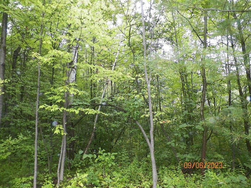 On Hwy LOT 512, Boulder Junction, WI 54512 MLS 203656 Zillow