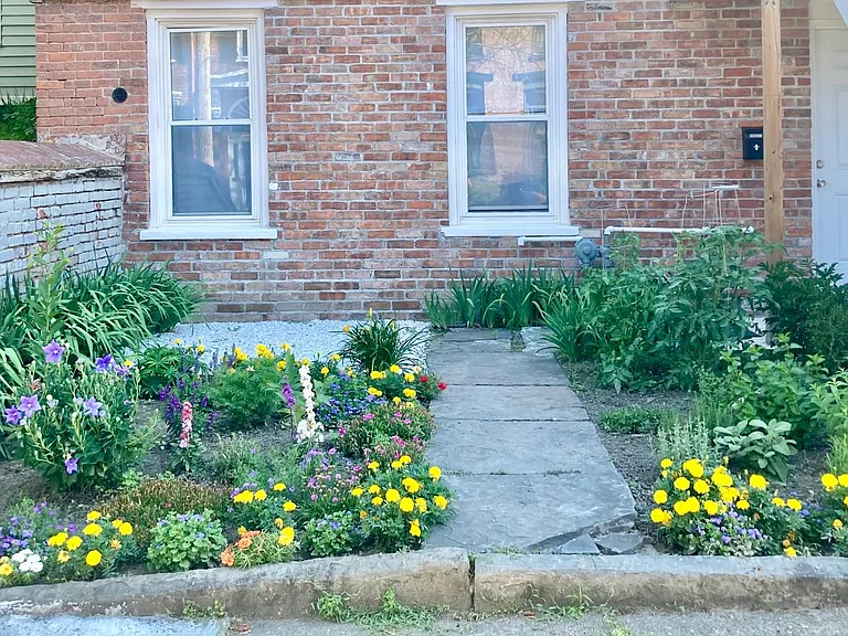 Front yard
