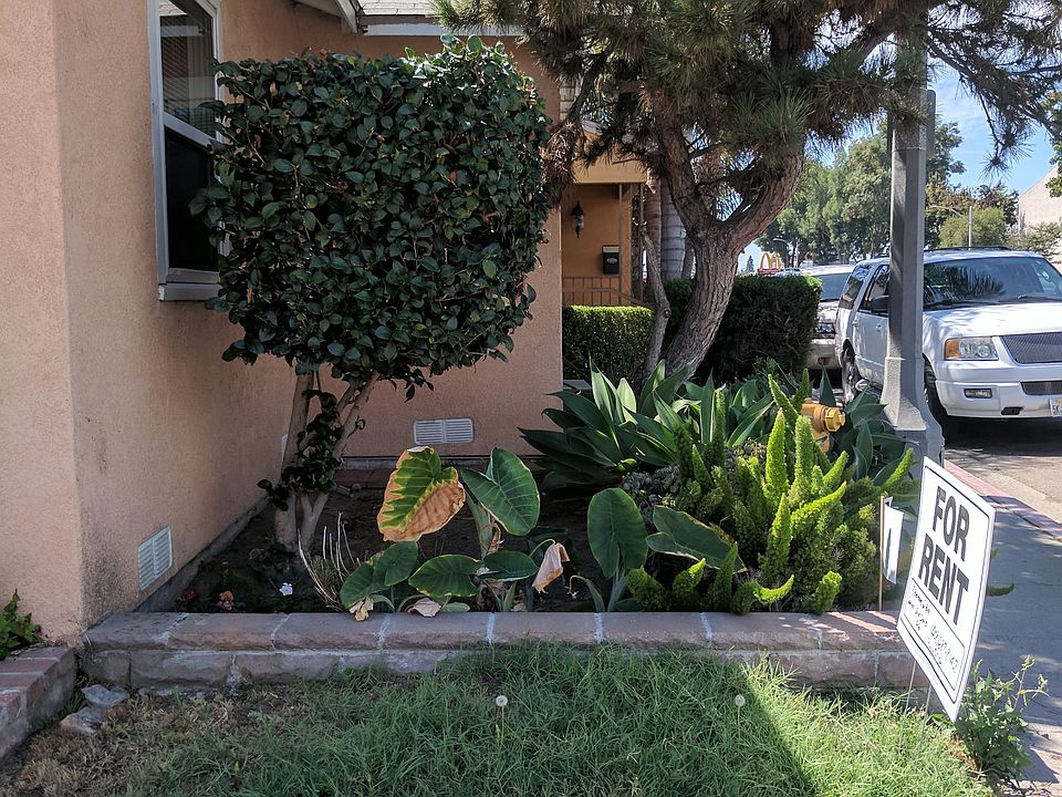 Little garden at the front of the house