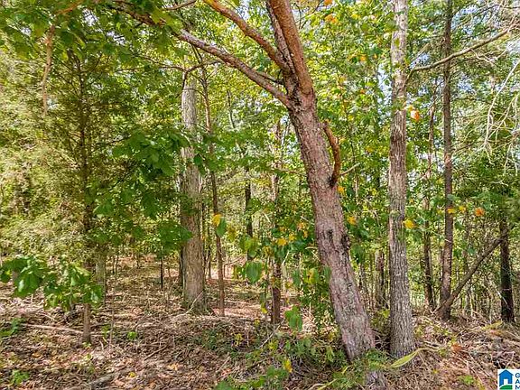 5th image of 7239 Breitenfield Pl Lot 19