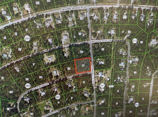 4617 W Gypsum Dr, Beverly Hills, FL 34465