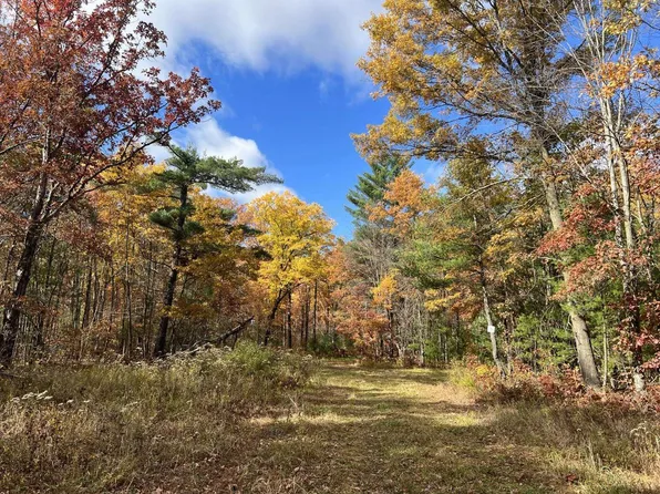 40 Acres SANDHILL AVENUE, Granton, WI 54436