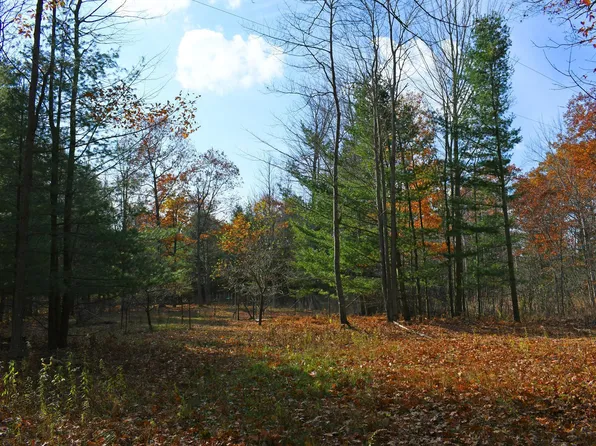 0 Ruel Rd, Tawas City, MI 48763