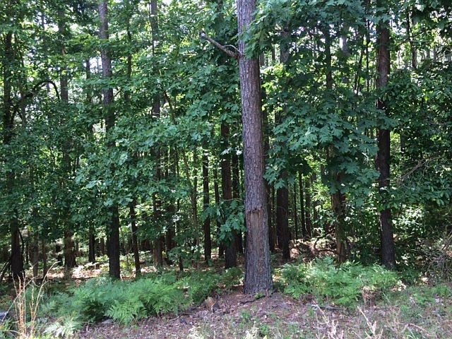 2nd image of 0 Hedden Pl Lot 6
