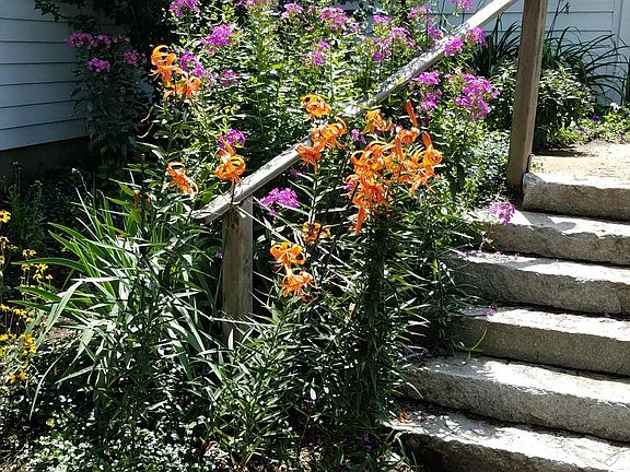 Goshen stone steps to front door.