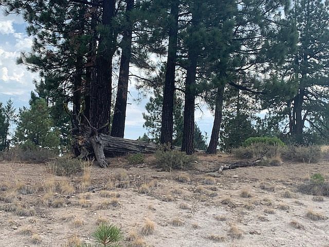 1st image of 245 Eagles Nest #15