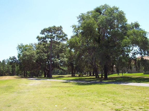 Rear View of Golf Course