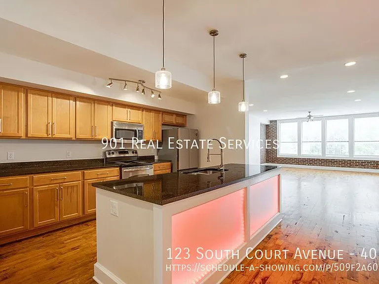 123 South Court Ave #401 — Photo 10
