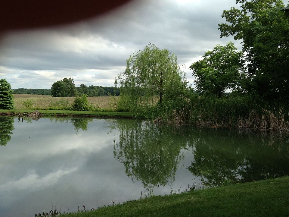Pond