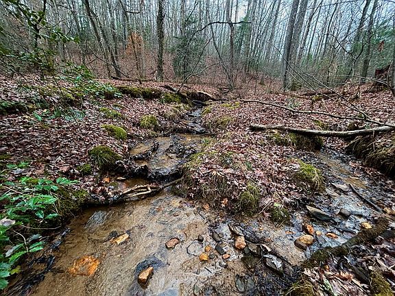 5th image of 00 Grace Dr