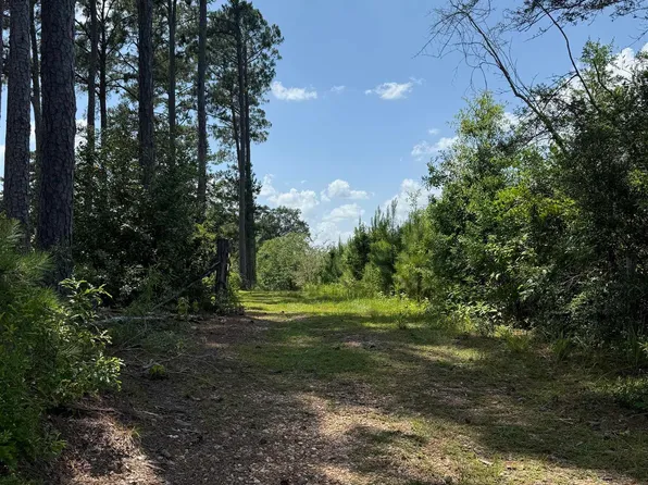 77151 N River Rd, Kentwood, LA 70444