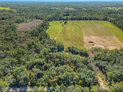 0 Barnes Rd, Monticello, FL, 32344