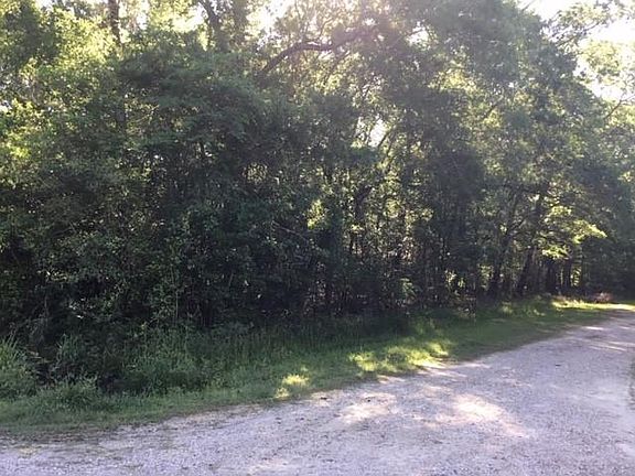2nd image of 0 Brook Tree