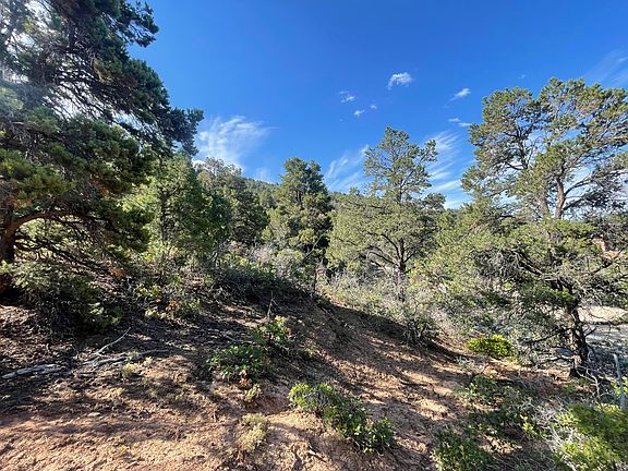 5th image of 19 E Horseshoe Mountain Estate Dr
