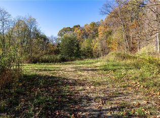 3339 Yellow Creek Rd, Akron, OH 44333