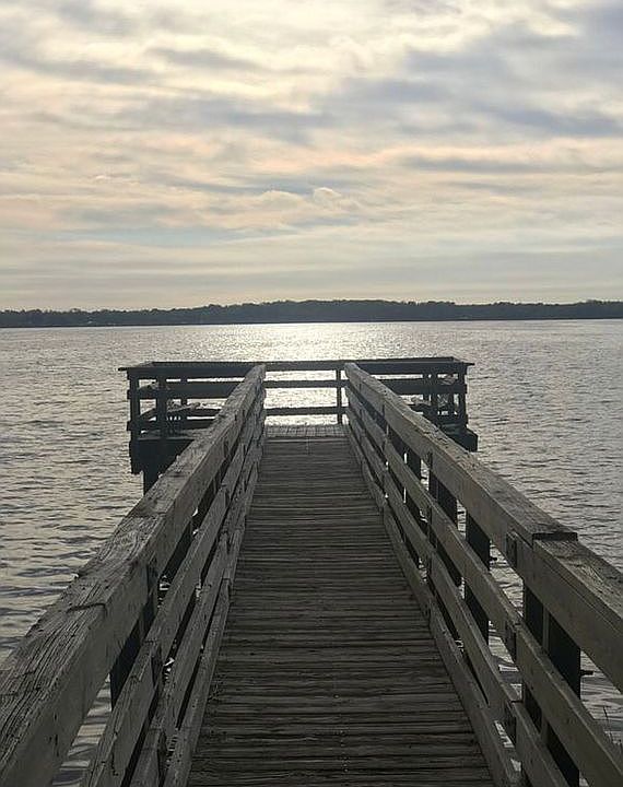 Lake Tarpon 