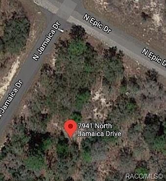 3rd image of 7941 N Jamaica Dr
