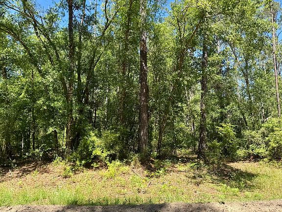 4th image of LOT 37 NW 79th Dr