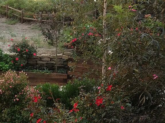 Garden wall