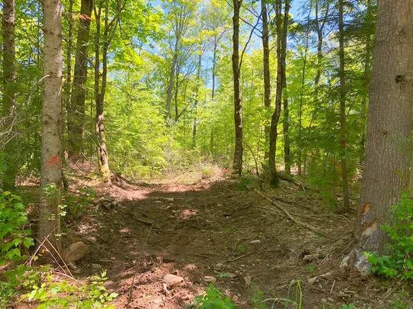 N Bass Lake Rd, Hurley, WI 54534