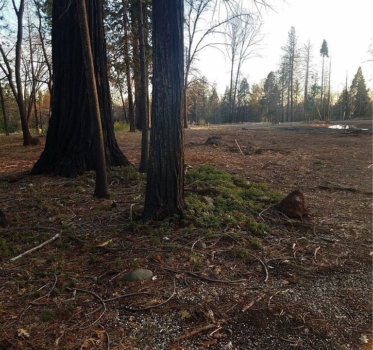 1st image of 13756 Endicot Cir