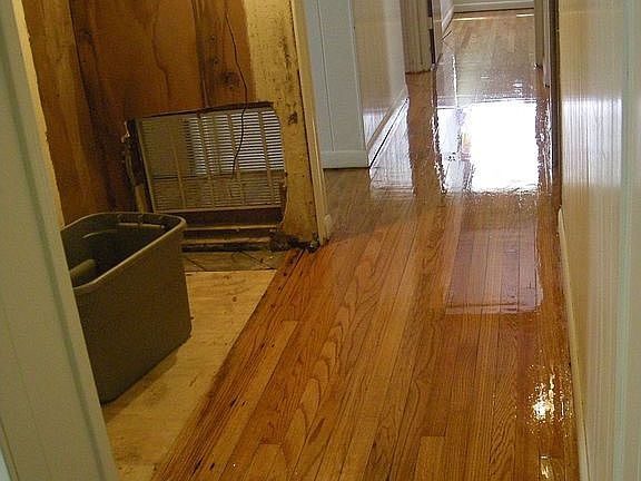 Refinished Hall Floor April 2011