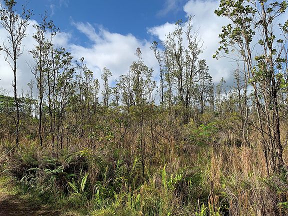 3rd image of 16-2054 Sandalwood Ct Lot 10
