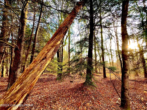 LOT A69 State Route 534, Albrightsville, PA 18210