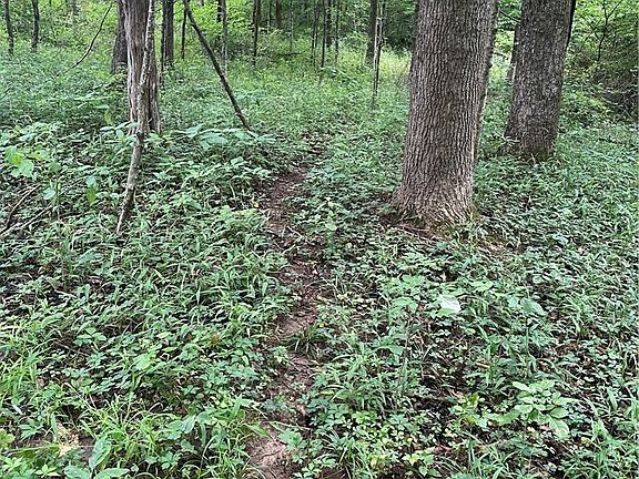 5th image of  E Side Of Becks Mill Road