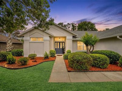 9 Buffalo View Ln, Palm Coast, FL, 32137