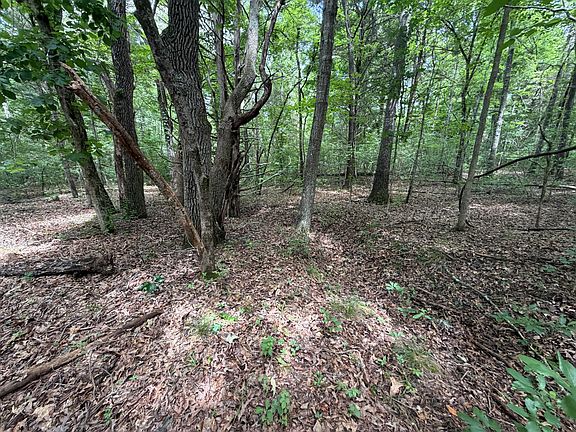 4th image of 000 County Road 318 Lot 7