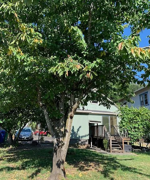 5726 S Corbett Ave — Photo 30