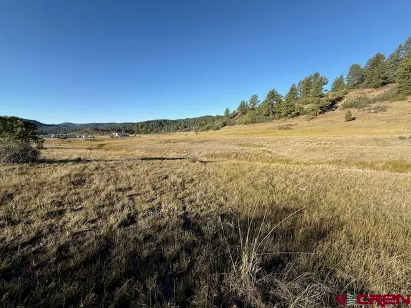 980 Catchpole Drive, Pagosa Springs, CO 81147