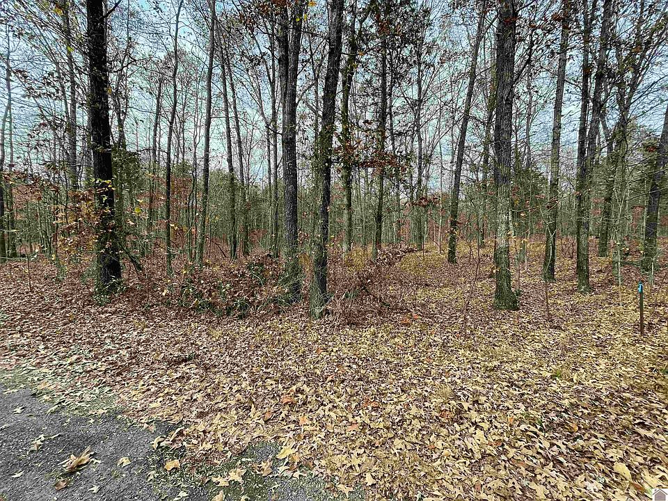 1st image of Lots 123 & 124 Kurtz Dr