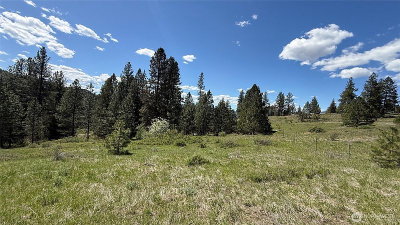 2nd image of 0 TBD Fir Lane