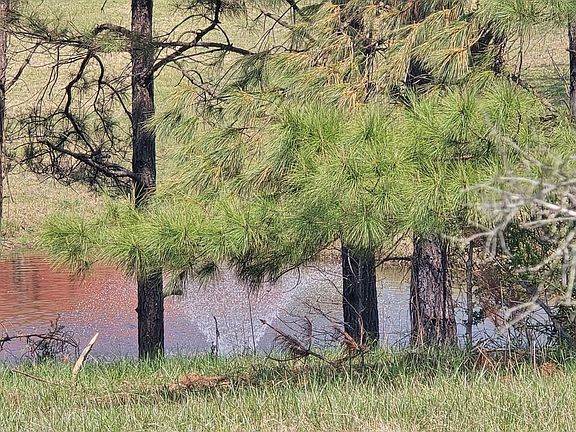 2nd image of 252 County Road 303
