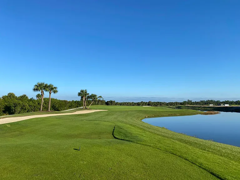 11th fairway looking North.