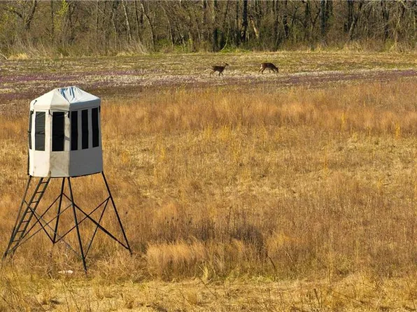 155 Street, Pattonsburg, MO 64670