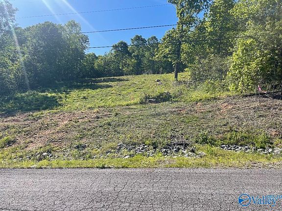 3rd image of 175 Buckskin Dr