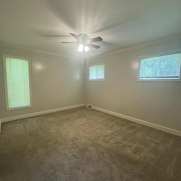 1103 W College St — Photo 16