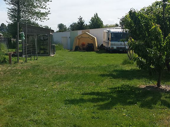 trees, greenhouse, shop