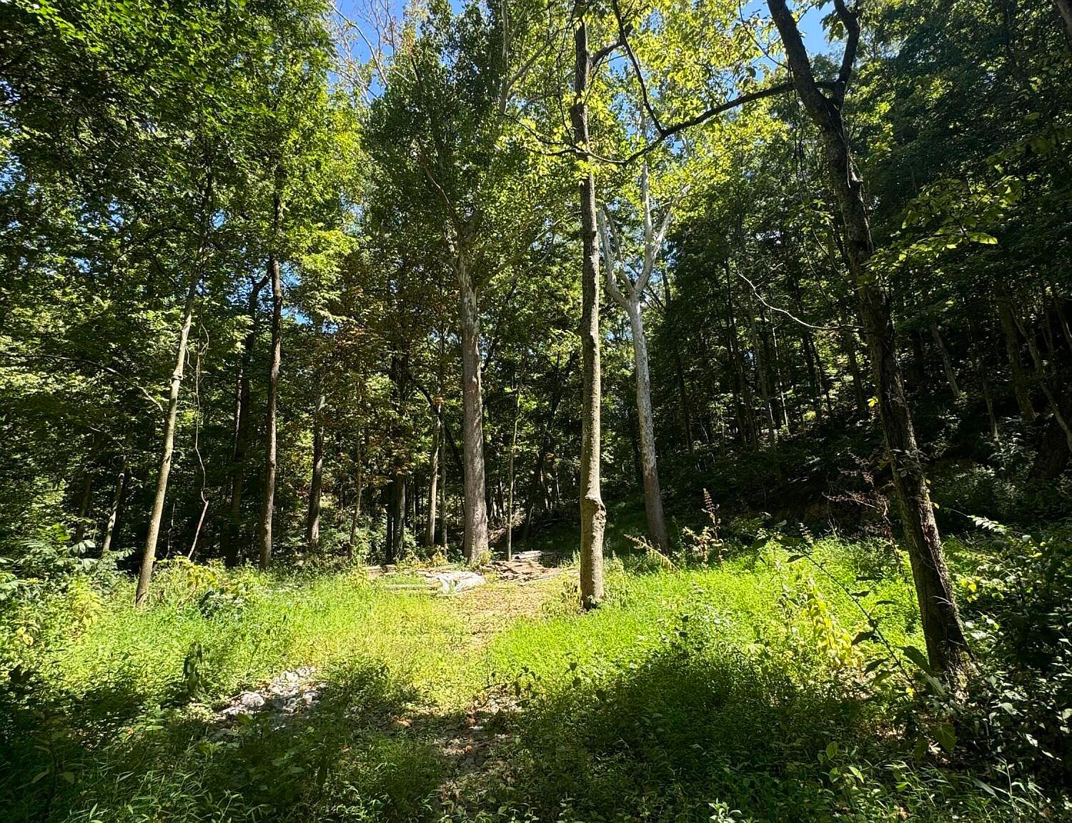 LOT 13 N Rose Island Rd