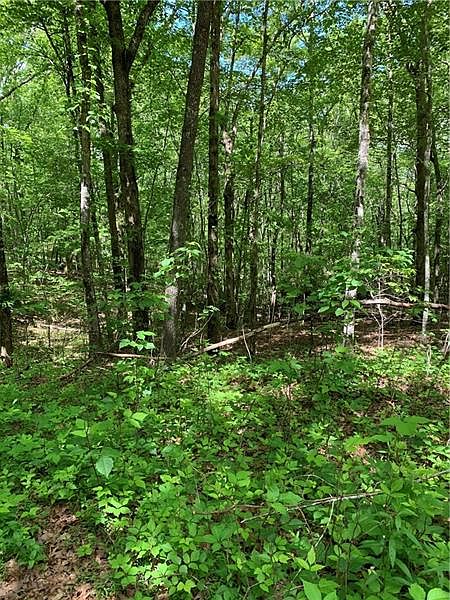 1st image of 0 Cinnamon Ln