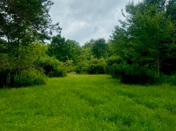 Pine Mill Rd, Equinunk, PA 18417