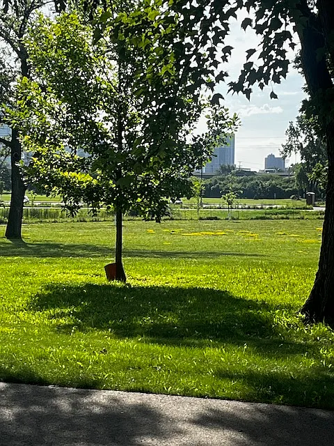 2 bed, 930 sqft, $1,550 — Photo 3
